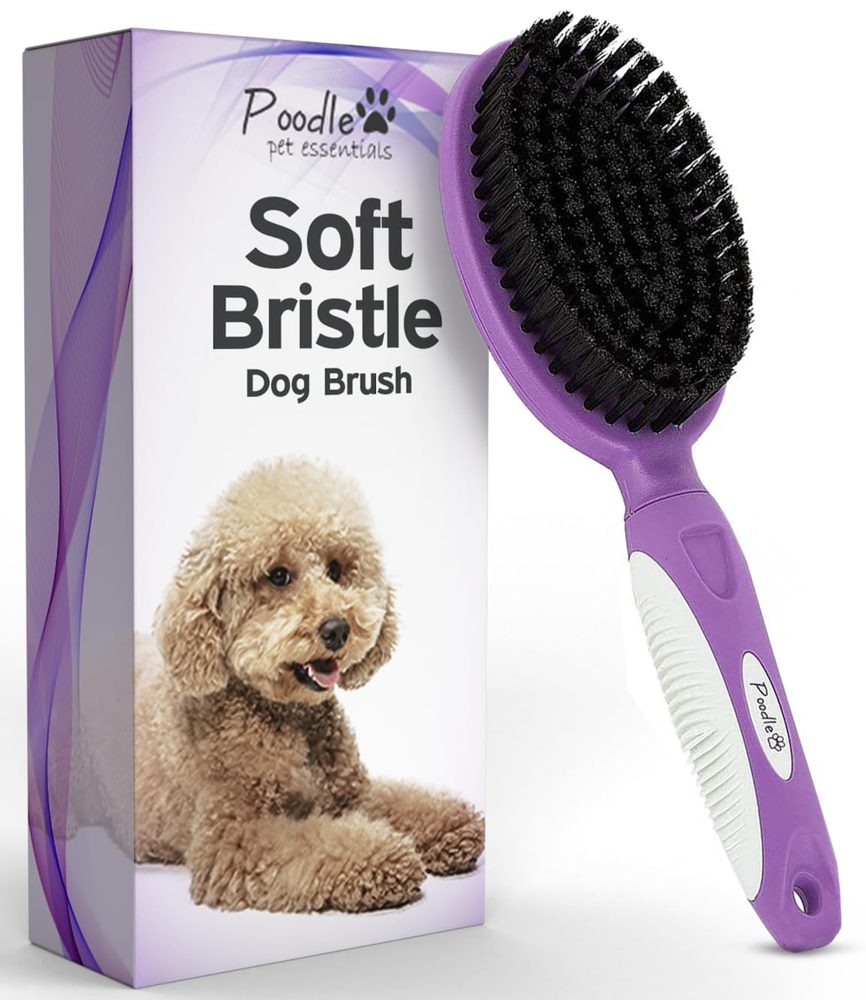 Soft Bristle Dog Brush for Short Haired Cats or Dogs