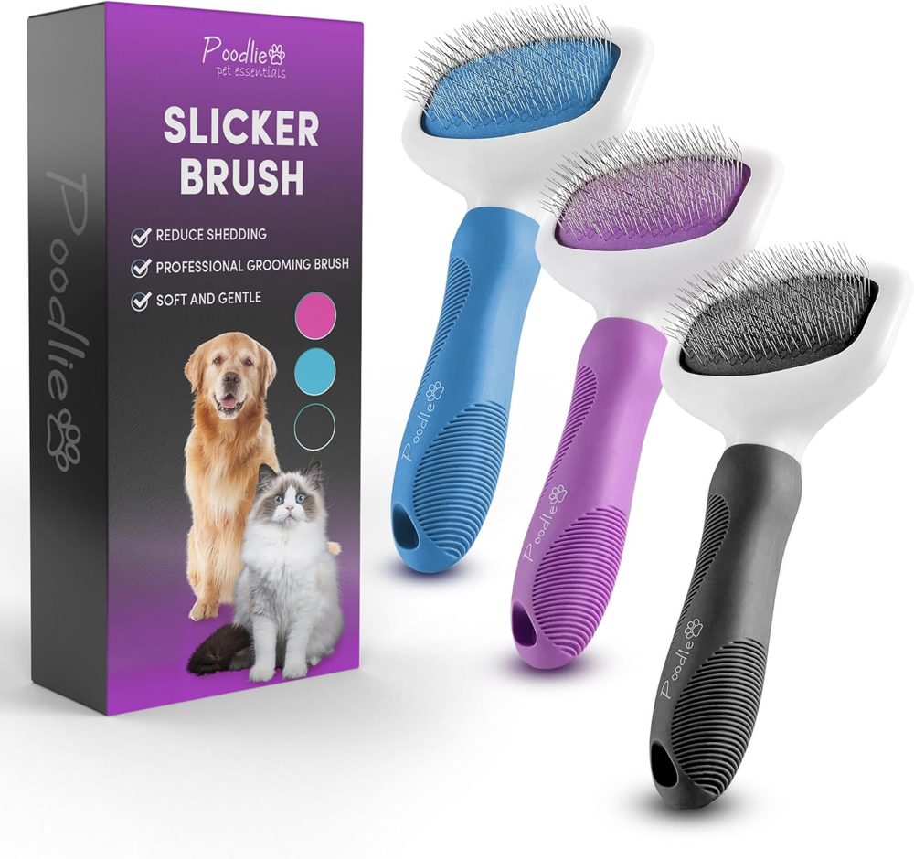 Poodle Pet Slicker Brush Bundle – Purple, Black, Blue