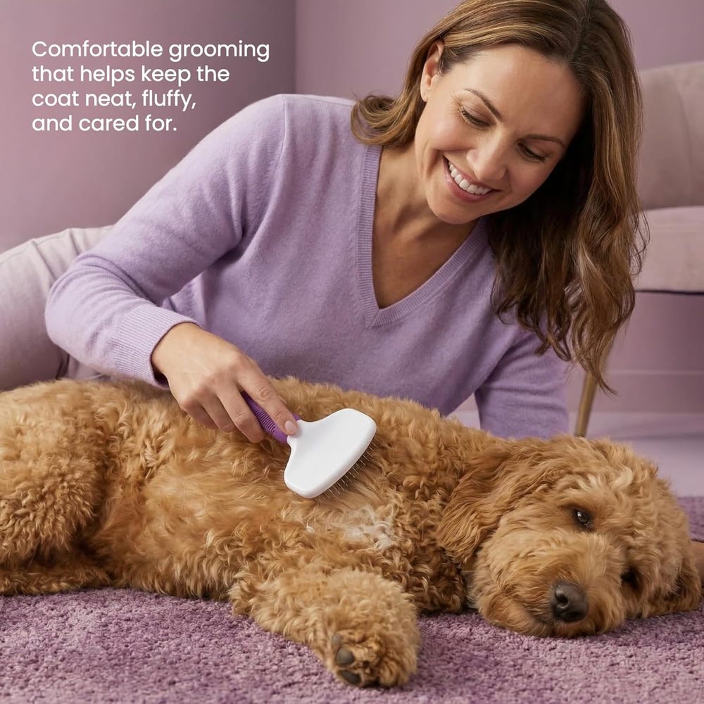 Poodle Pet Slicker Brush