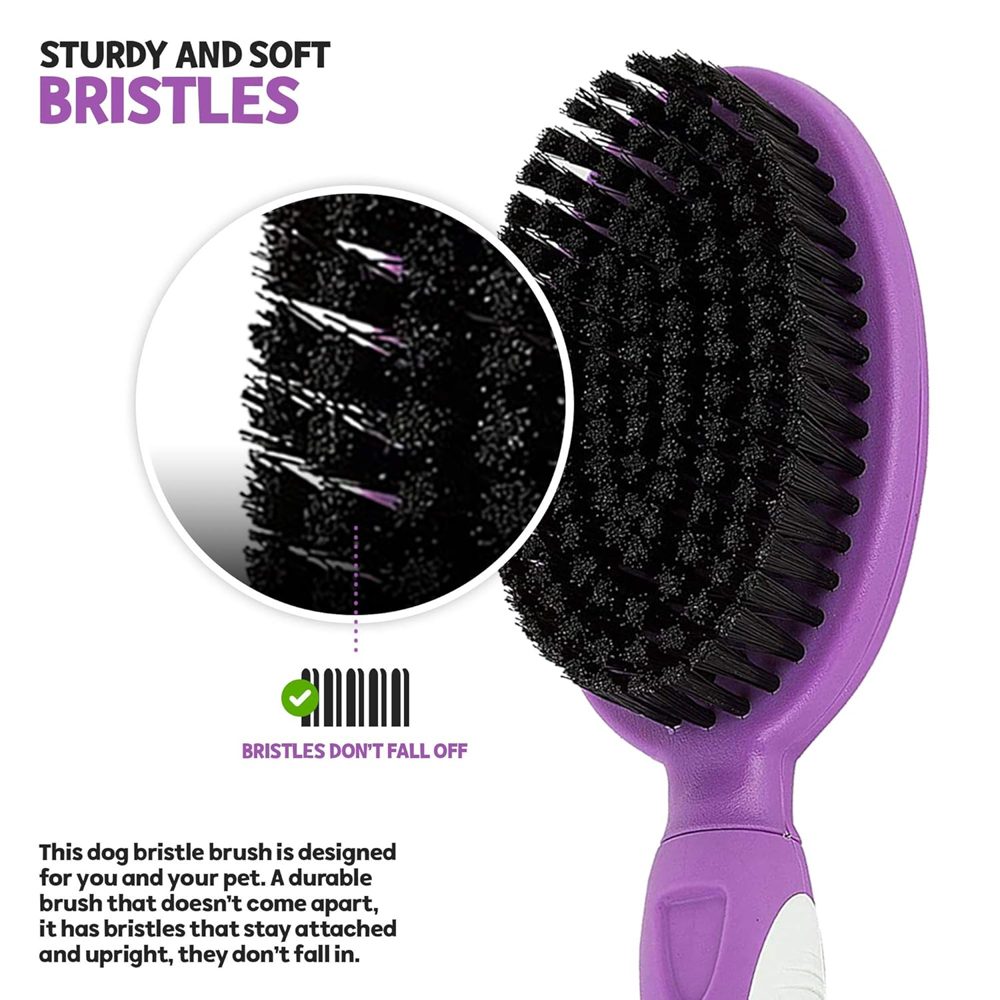 Soft Bristle Dog Brush for Short Haired Cats or Dogs