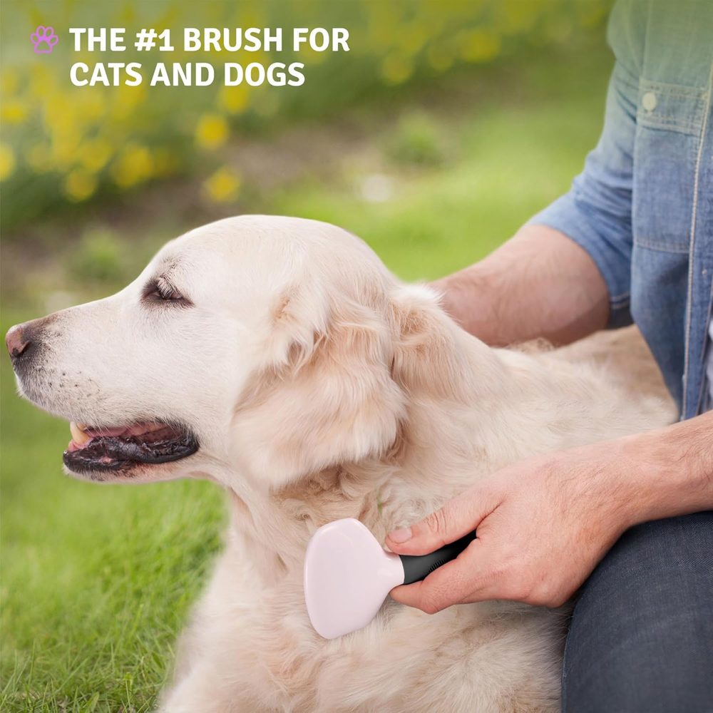 Poodle Pet Bundle – Dematting Rake + Slicker Brush