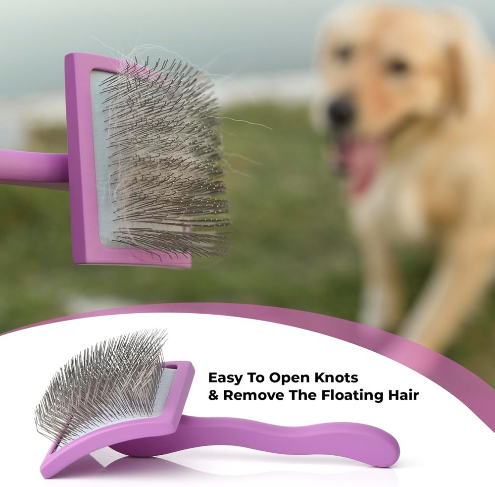 Slicker Brush for Dogs – Detangling with Soft Bristles