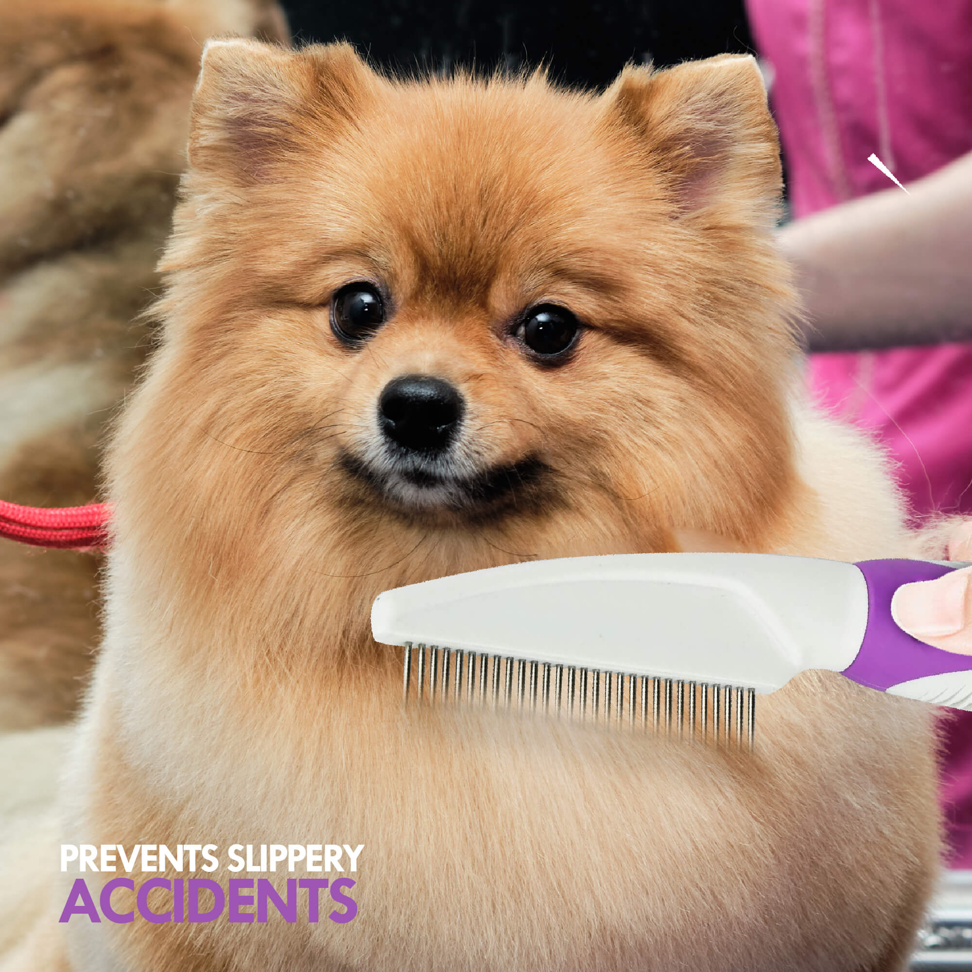 Best comb for best sale pomeranian