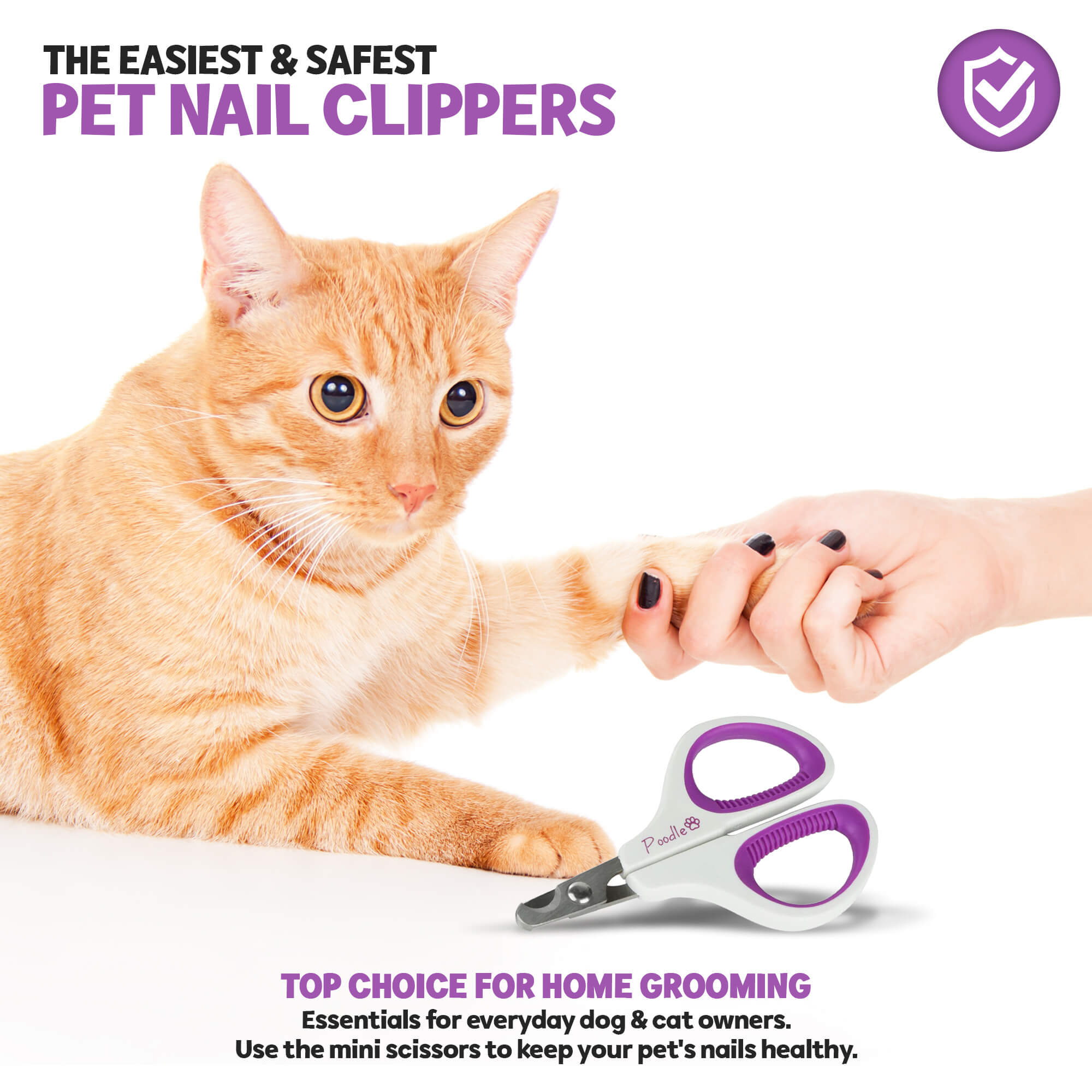 Cat nail clippers pets at home best sale