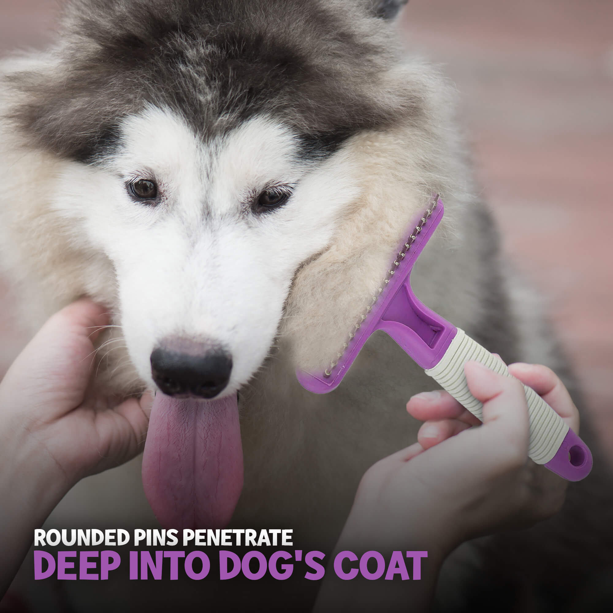 Best dog brush on sale for siberian husky