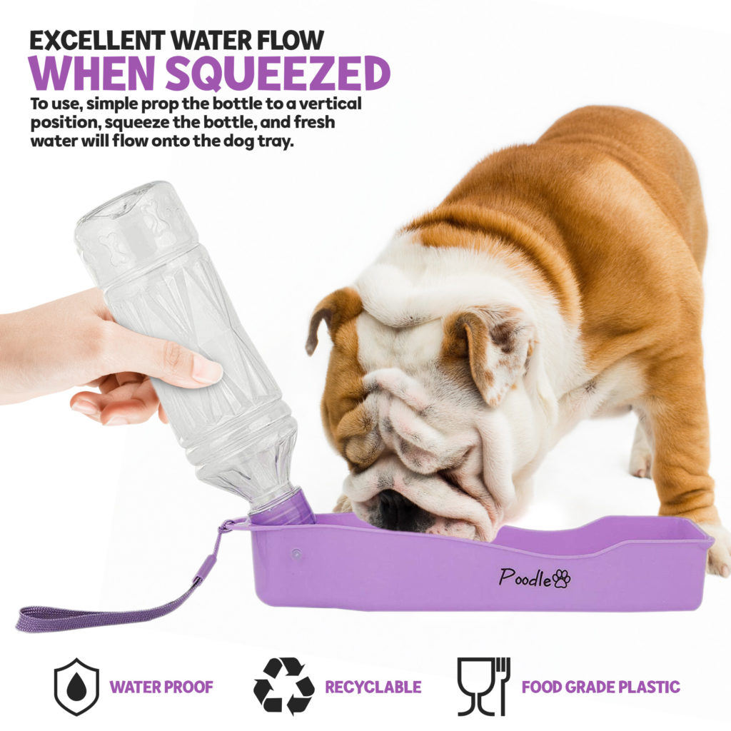 Portable Pet Water Dispenser - Poodlepet