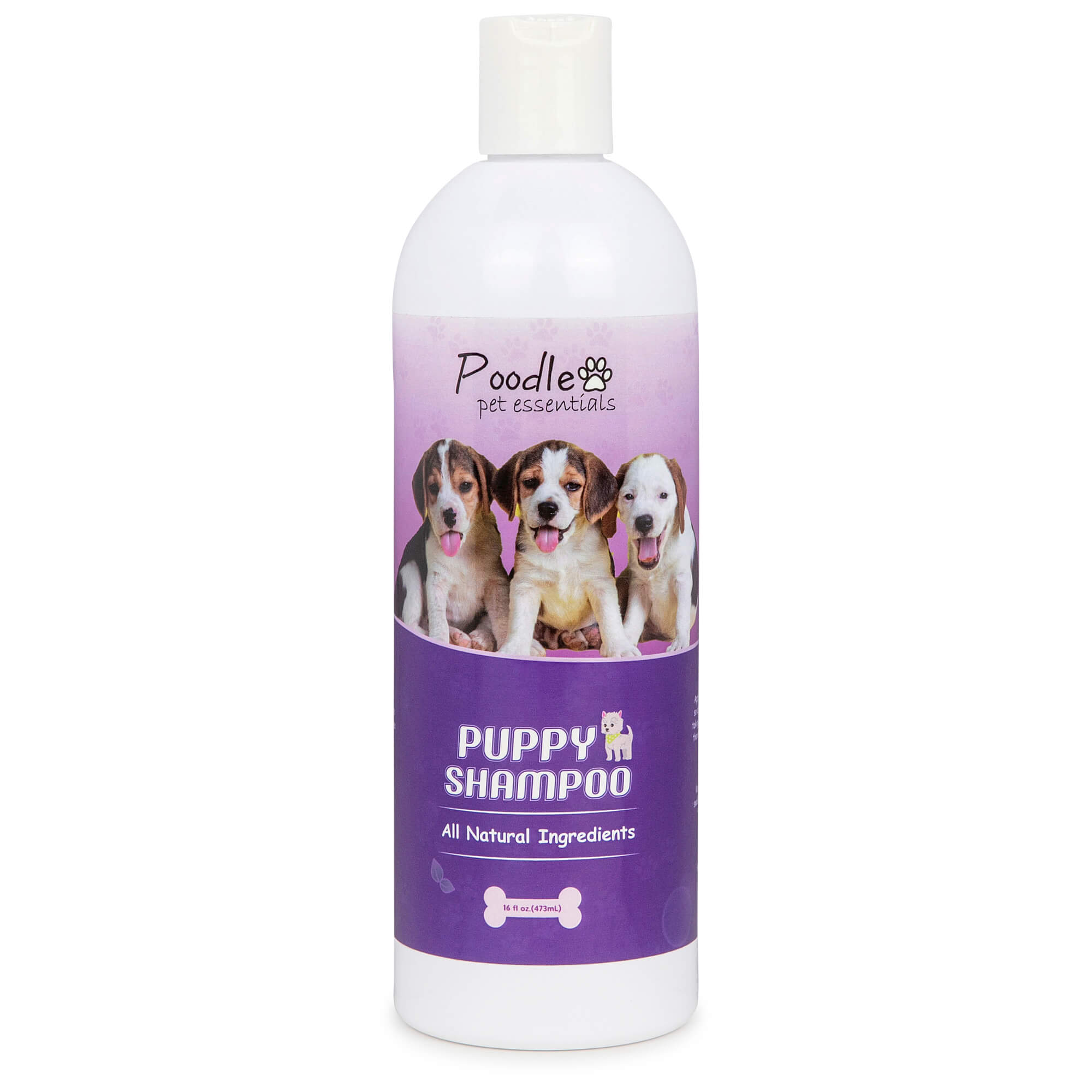 Poodle 2025 puppy shampoo