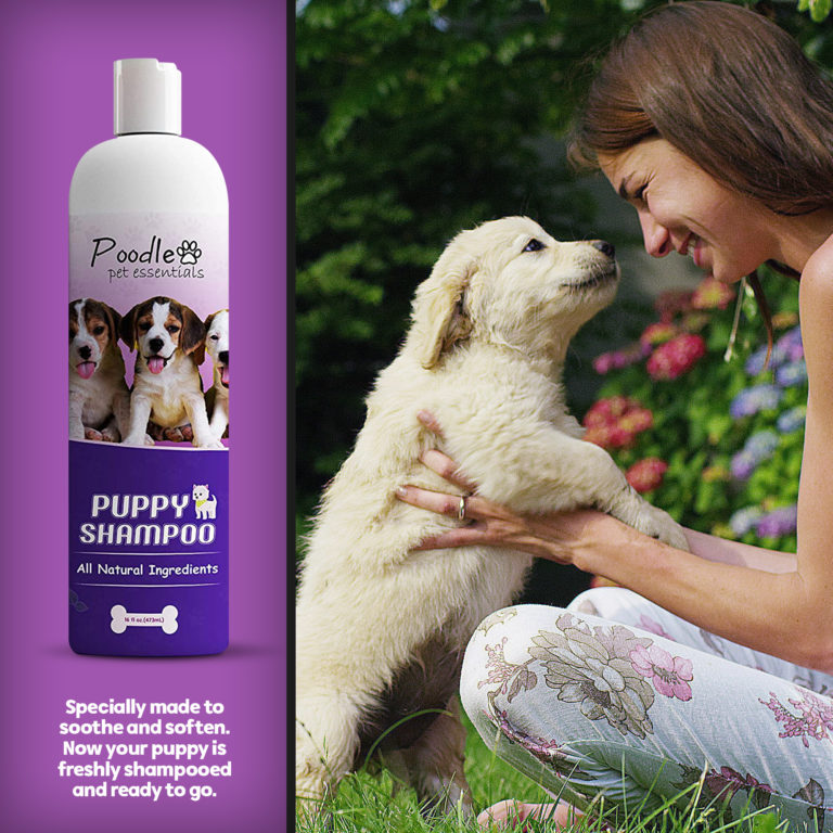 AllNatural Gentle Puppy Shampoo Poodlepet